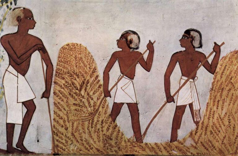 Pšenice ve starověkém Egyptě byla pro ženy velmi důležitá. Poznaly z ní, zda jsou „v tom.“ FOTO: getarchive