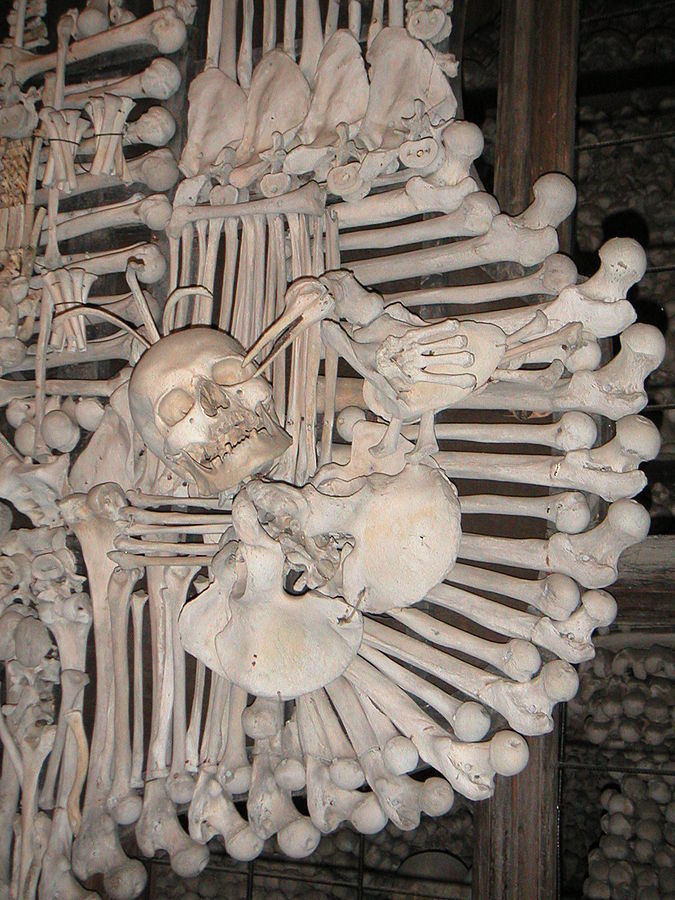 Detail erbu rodu Schwarzenbergů z kostnice v Sedlci u Kutné Hory. FOTO: Polyparadigm/Creative Commons/Public domain