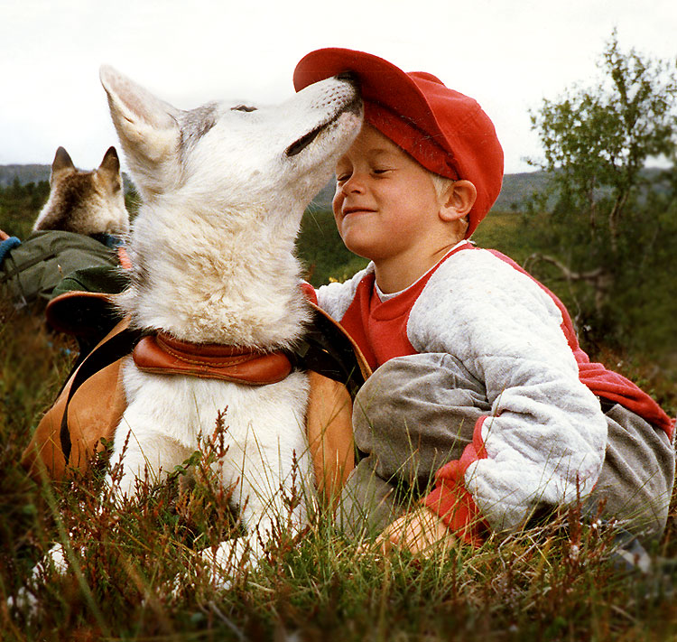 Psi umějí vycítit náladu člověka. FOTO: Perhols / Creative Commons / CC BY 2.5