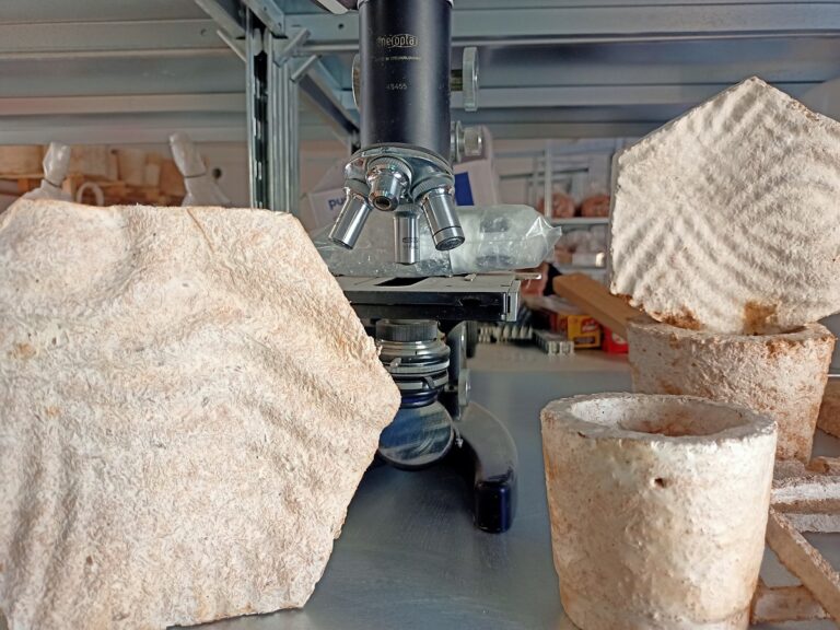 Vědci zkoumají a vyvíjejí materiál na bázi mycelia hub. Foto: Stavební spořitelna České spořitelny (Buřinka)