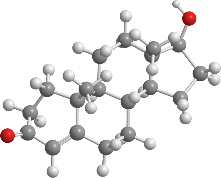 Steroidní hormon testosteron se řadí do skupiny tzv. androgenů, tedy skupiny mužských pohlavních hormonů. Foto: Pixabay