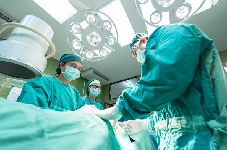 Mezi světové špičky v transplantační medicíně patří např. Španělsko, které má s 50 dárci na milion obyvatel celosvětově nejlepší výsledky. Zdroj: Pixabay