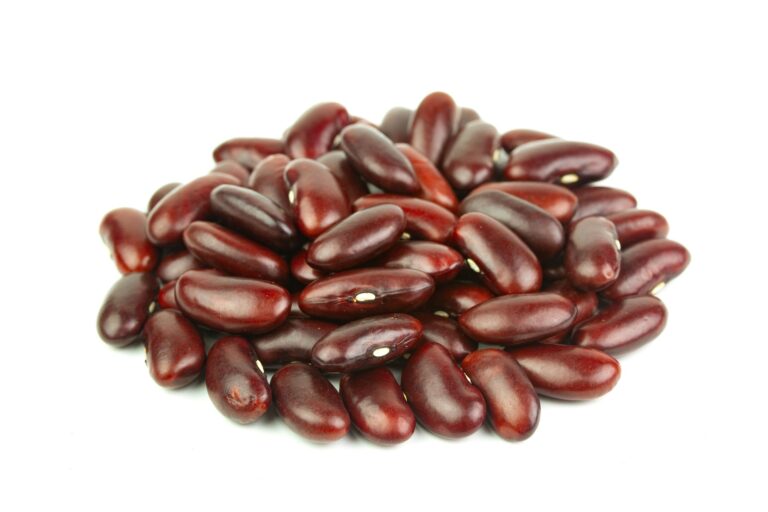 Buďte v klidu, jedy ve fazolích nepřežijí uvaření. Foto: Ninetechno / Pixabay.