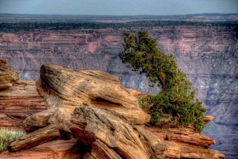 Grand Canyon nabízí na každém kroku úchvatné pohledy. FOTO: John Fowler / Creative Commons / CC BY 2.0