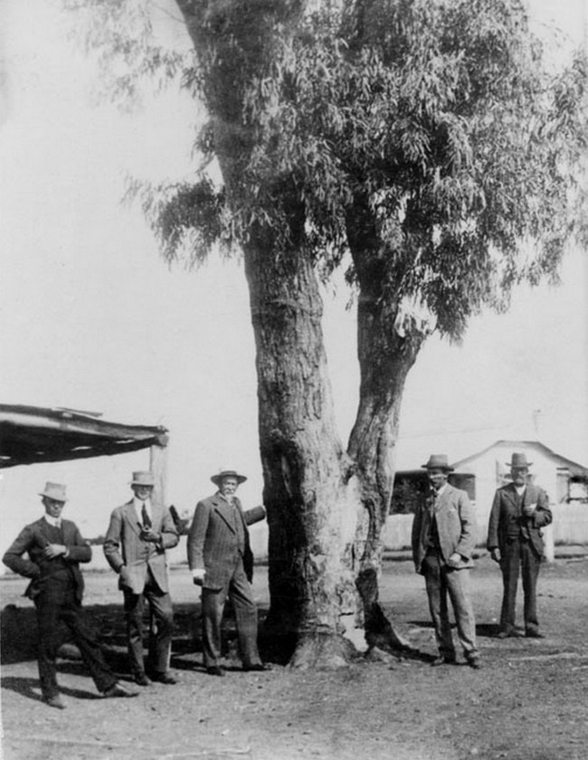 Jediné co po něm zůstane je strom, ve kterém jsou vyřezány jeho inicály. (Queensland State Archives, volné dílo, commons.wikimedia)