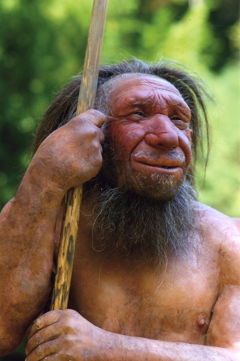 Část neandrtálské DNA se dnes nachází v genomu lidí. FOTO: Neanderthal-Museum, Mettman/ Creative Commons / CC BY-SA 4.0