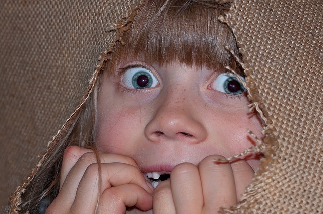 Strach může mít opravdu velké oči!(Foto: Petra / Pixabay)