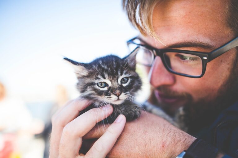 Majitelé koček dle statistik žijí déle! Foto: Pexels / Pixabay.