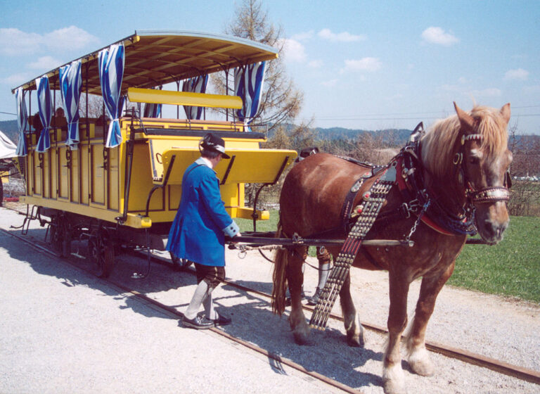 Coby „dopravní prostředek“ mohl člověk koně využívat už před 5 000 lety. FOTO: Postrach / Creative Commons / CC BY_SA 3.0