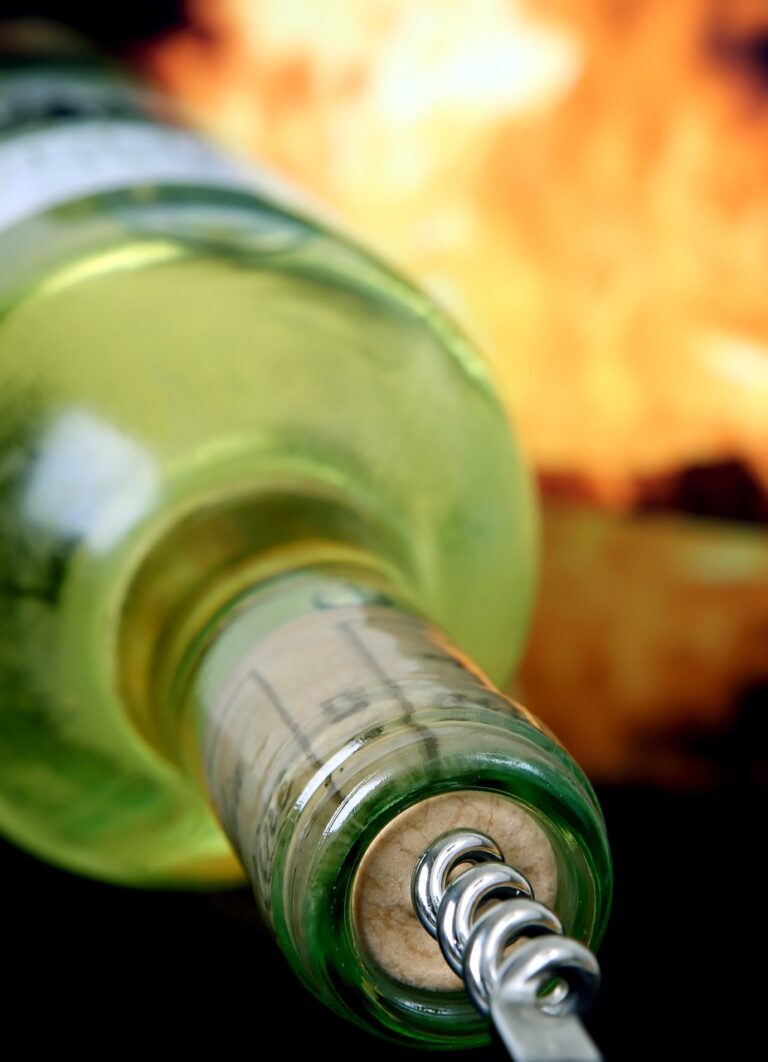 Různé odrůdy vína mají různou chuť i vůni. Někdy se však vloudí nelibé prvky…(Foto: Robert Owen-Wahl / Pixabay)