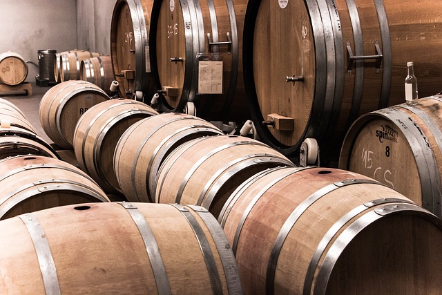 Každý vinař se snaží, aby to jeho víno bylo nejlepší. Pomoci může nová metoda.(Foto: Leo Hau / Pixabay)