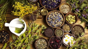 Léčivá síla bylinek: Jak naši předci léčili nachlazení, horečku, černý kašel či chřipku?