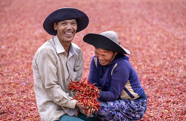 Radost ze sklizně je pochopitelná: k asijským pokrmům chilli prostě patří!(Foto: CUONG ART / Pixabay)