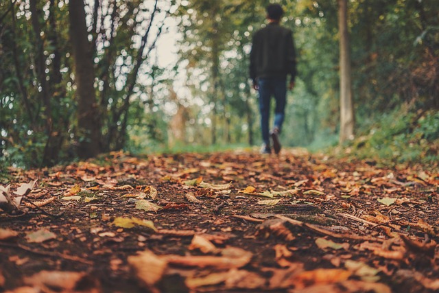 Šustění spadaného listí pod nohama a jeho vůně ve vzduchu k podzimu neodmyslitelně patří.( Foto: Pexels / Pixabay)