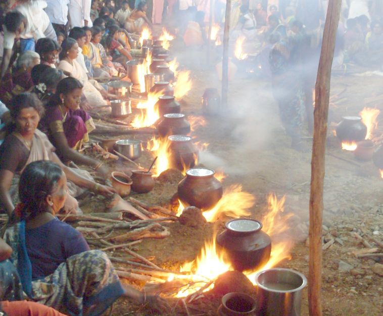 Svátek Pongal má svou neopakovatelnou atmosféru.(Foto: Thiagupillai / commons.wikimedia.org / CC BY-SA 3.0)
