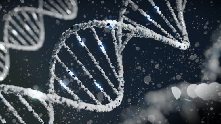 Bělošské geny se mohou masivně projevit i po několika generacích. Foto: Unsplash