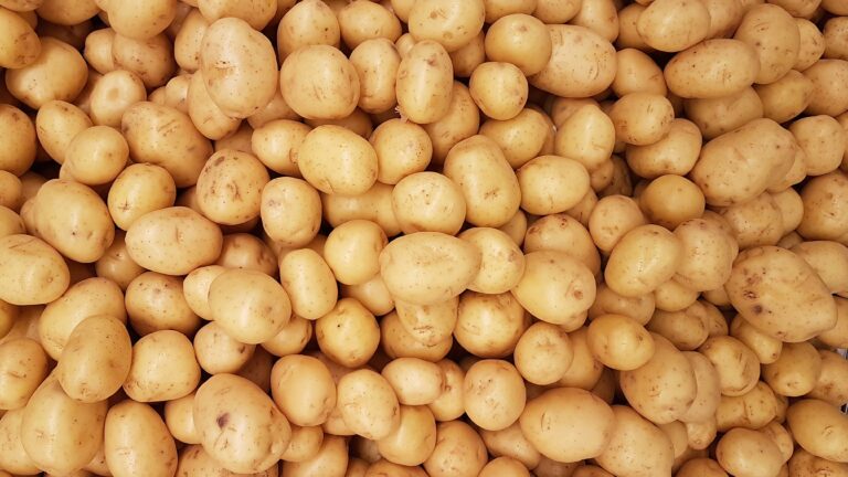 Základní surovinou jsou samozřejmě brambory. Foto: unsplash