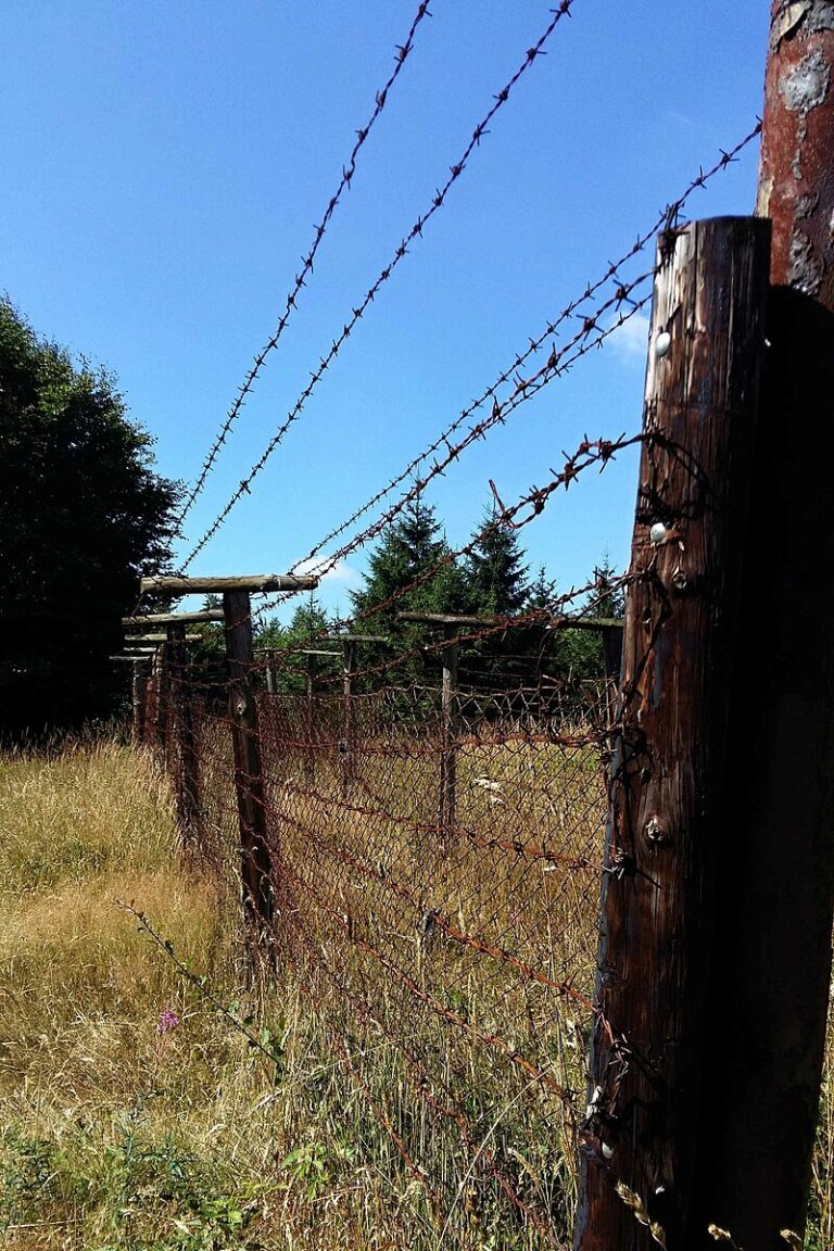 Zbytky plotu železné opony na vrchu Havran. FOTO: Pastorius/Creative Commons/CC BY-SA 4.0