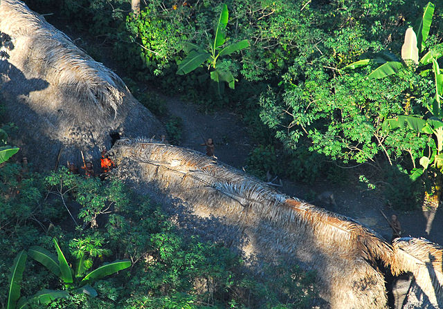 A pod korunami stromů žijí i dnes kmeny, izolované od okolního světa: v roce 2009 tento indián útočí na vrtulník šípy.(Foto: Gleilson Miranda / commons.wikimedia.org / CC BY 2.0).