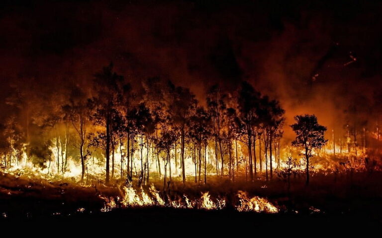 Lesní požáry jsou velmi nebezpečné, moderní technologie však nabízejí možná řešení. FOTO: pxfuel