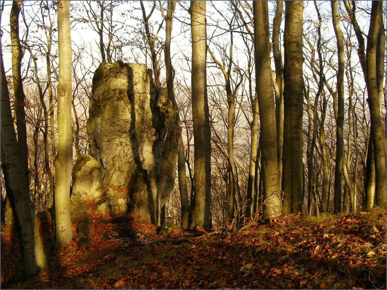 Své oběti lákal do Kysackého lesa. FOTO: Jan Starec / Creative Commons / CC BY-SA 3.0 DEED
