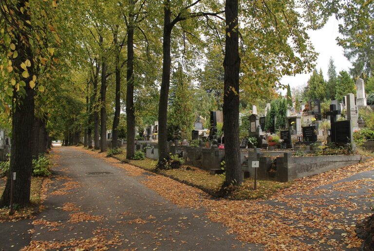 Místem jejího posledního odpočinku se stane Židenický hřbitov. Foto: Harold / CC BY-SA 4.0