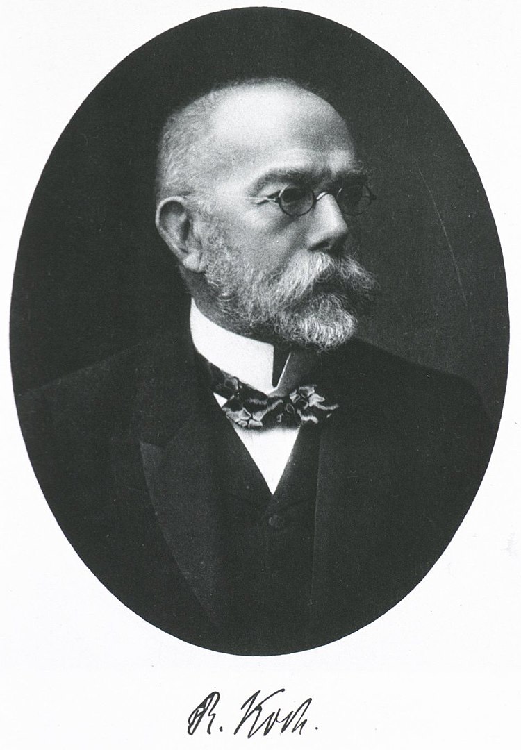 Toho malého prevíta jménem Mycobacterium tuberculosis, objeví v roce 1882 Robert Koch. (Volné dílo, commons.wikimedia)