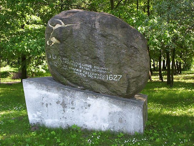 Pomník v Polsku připomíná uhynutí posledního pratura na této planetě.(Foto: Meteor2017 / commons.wikimedia.org / CC BY-SA 3.0)