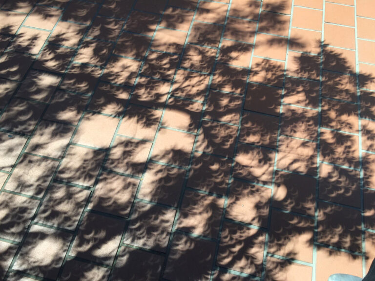 Když dojde k částečnému zatmění Slunce a na zemi při něm vidíte skupinu osvětlených srpků, nejde o nic jiného než o efekt přírodní „dírkové kamery“! Obrazce se vytvořily díky velkému množství mezer mezi listy stromů. Foto: CameliaTWU / Creative Commons / CC BY-NC-ND 2.0.