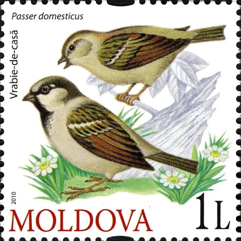 V Moldavsku to dokonce dotáhne až na vlastní poštovní známku. (Post of Moldova / wikimedia.commons.org / Volné dílo)