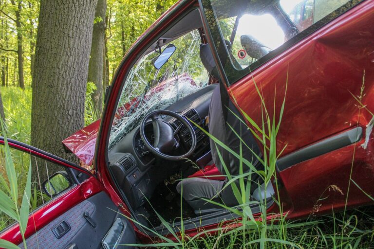Broderick řídil auto po nesprávné straně silnice a vjel do protisměru. Narazil do Volva, ve kterém jely dvě ženy. Ženy zemřely na místě. Broderick a Greyová utrpěli zranění. Foto: pixabay