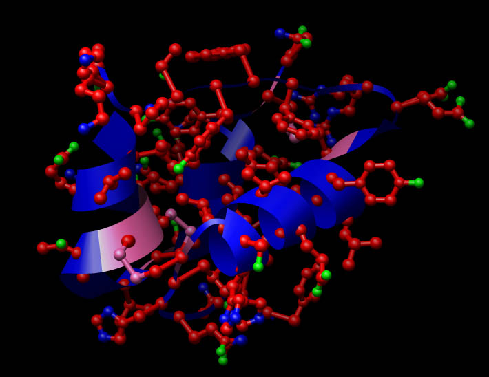 Molekulární struktura inzulínu. FOTO: Raul654 / Creative Commons / CC BY-SA 3.0