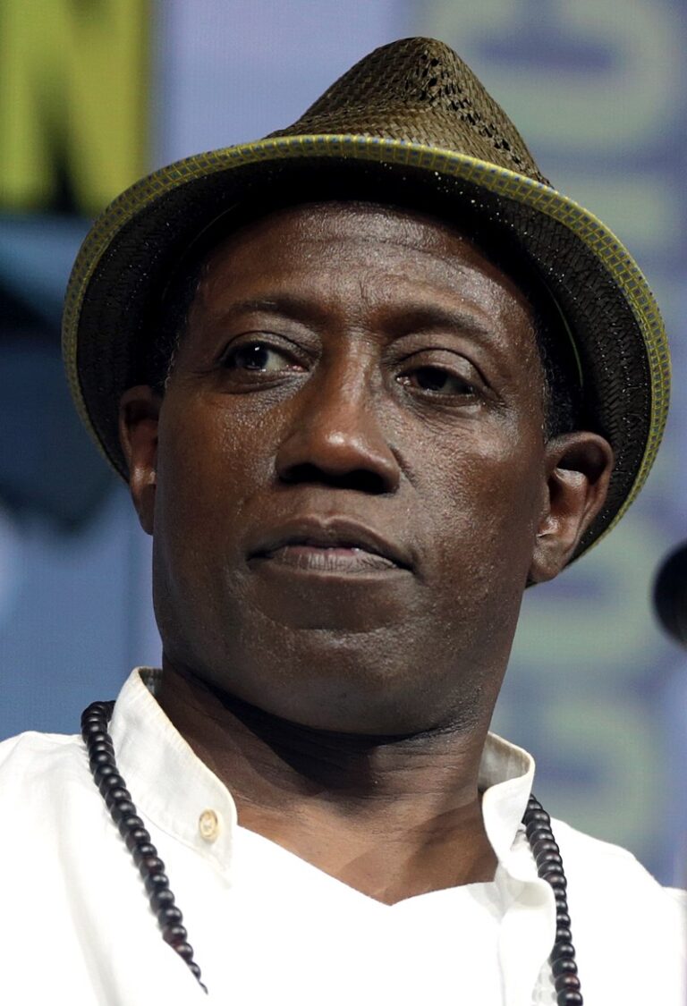 Wesley Snipes (narozený 1962) je americký herec, filmový producent a mistr bojových umění. Proslavil se akčními rolemi ve filmech jako 