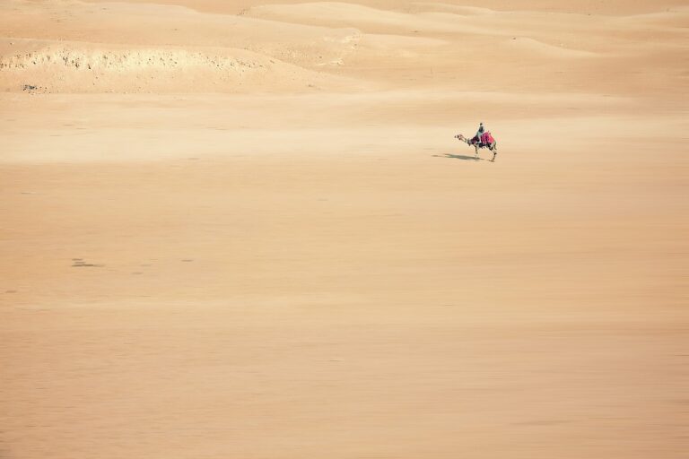 Motiv útočníka byl pravděpodobně nenávist vůči cizincům a rostoucímu turismu v Egyptě. Smrt Lenky C. vyvolala velkou pozornost médií a otázky o bezpečnosti turistů v Egyptě. Foto: pixabay