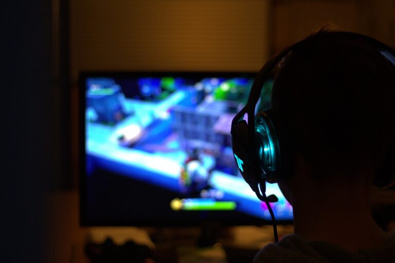 Fortnite. Může mít hraní následky? Foto: Pixabay