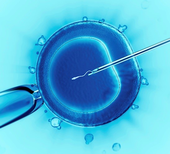 Výzkum je jedním z klíčů úspěchu léčby pomocí IVF. FOTO: Apaulik / Creative Commons / volné dílo