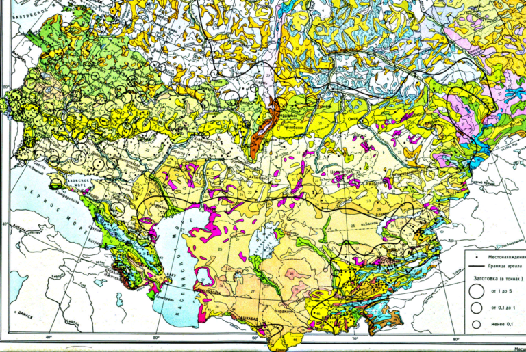 Mapa - Výskyt pelyňku. FOTO: ACF-1/Creative Commons/Public domain