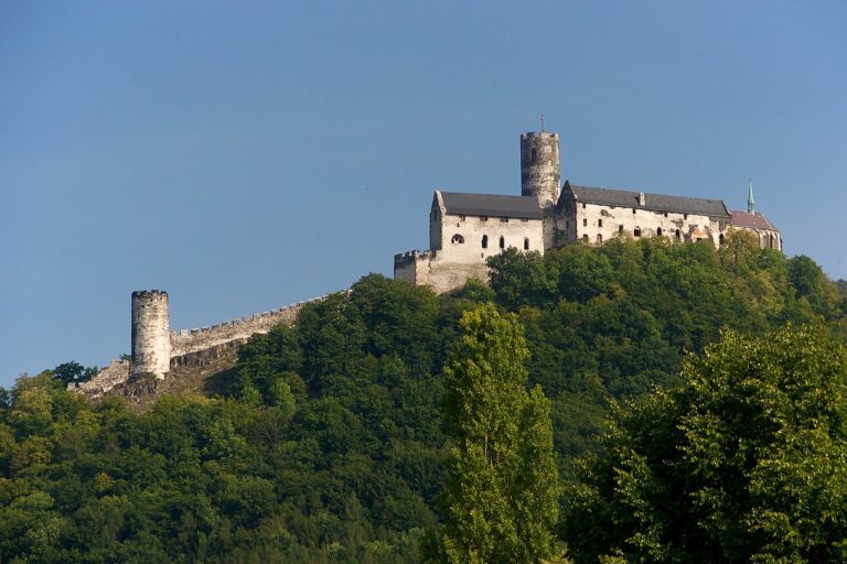 Hrad Bezděz založil český král Přemysl Otakar II. FOTO: Lukáš Kalista/Creative Commons/ CC BY-SA 4.0