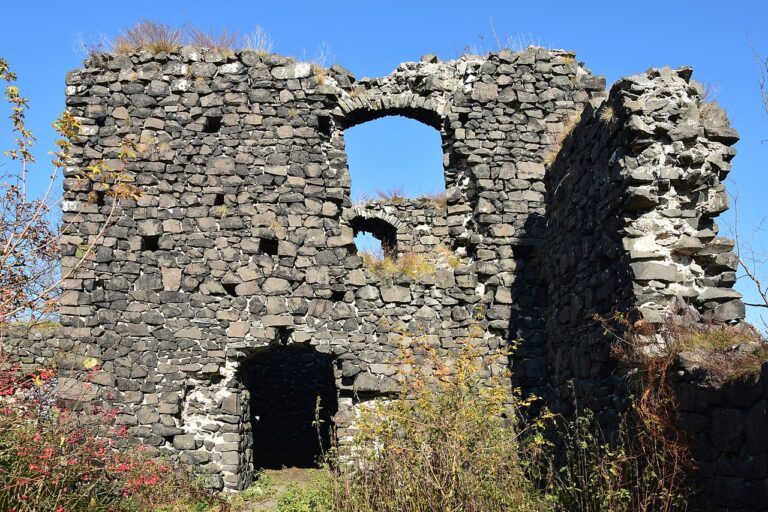 Zřícenina hradu Ronov. I zde má být ukrytý poklad. FOTO: Petr Kinšt/Creative Commons/CC BY-SA 4.0