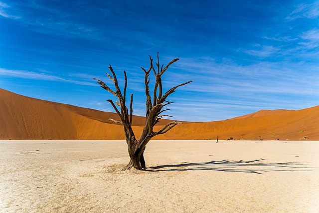 Deadvlei je velmi pozoruhodné místo.