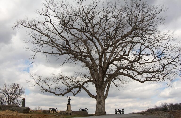 Dělo na bojišti Gettysburg symbolizuje jedno z nejvýznamnějších střetnutí americké občanské války, která určila směr budoucnosti USA.