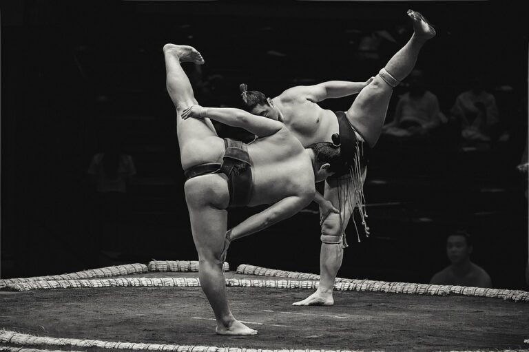 Tato skutečnost podtrhuje, že v sumu nejde jen o hrubou sílu a váhu, ale také o hbitost, techniku a strategii.