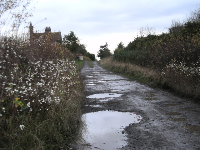 Keře pámelníku obsypané bílými bobulkami k podzimní krajině zkrátka patří.