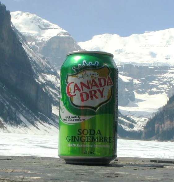 V roce 1953 se Canada Dry stane jedním z prvních nápojů plněných do plechovek.