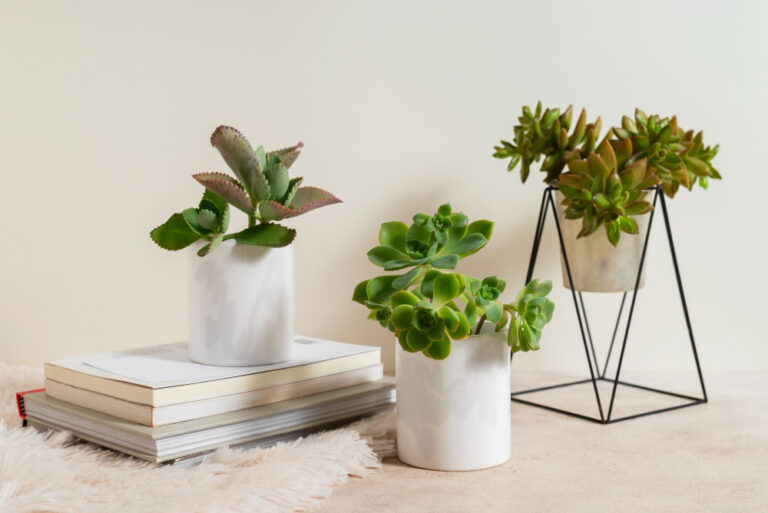 Ačkoliv je ve skutečnosti čistící účinek malý, dělají nám radost. Foto: Freepik