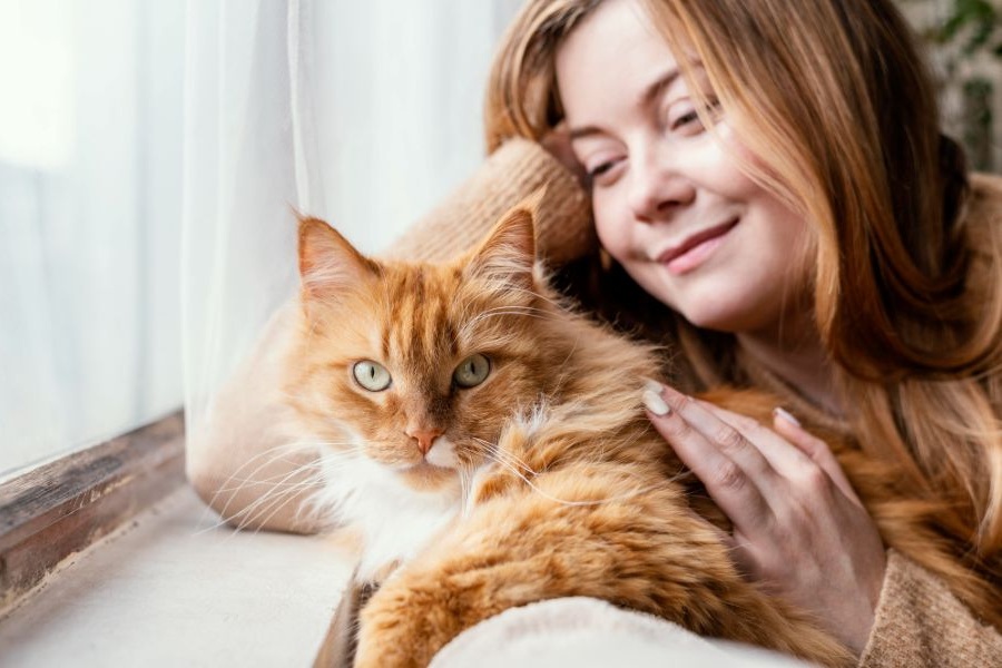 Zajímavé zvyky kočky: Rozpoznejte signály, kterými s vámi komunikuje