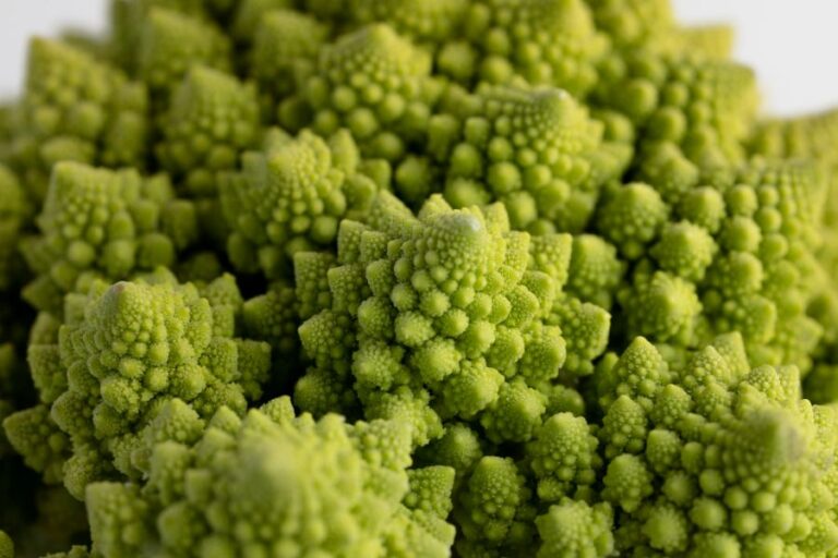 Dokonalost růžiček brokolice Romanesco je fascinující. Foto: Freepik