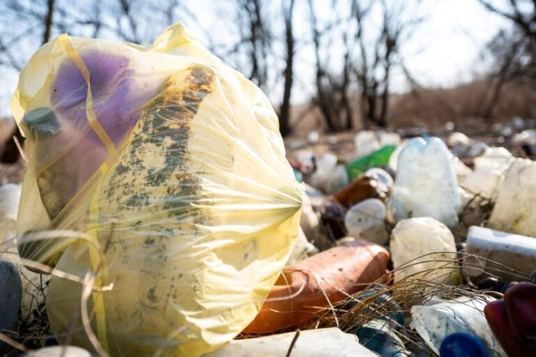 Zavaleni plasty. Mohou nám s jejich rozkladem pomoci některé druhy bakterií? Foto: Freepik