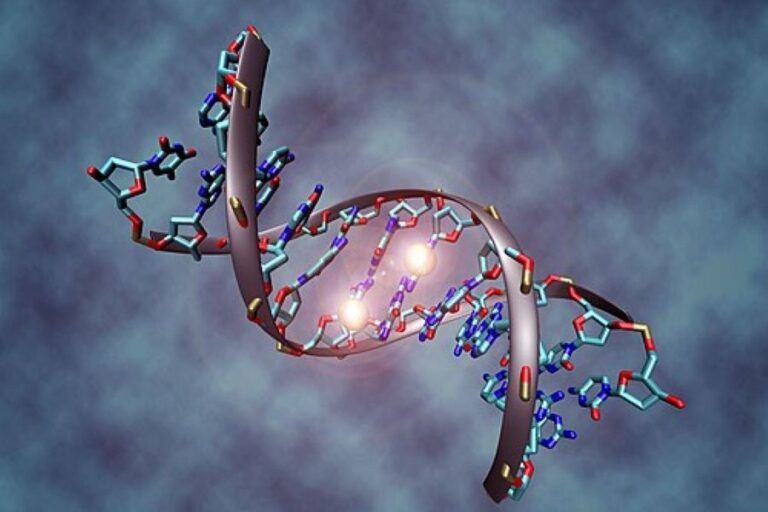 Metylace DNA znamená změny v určitých částech šroubovice DNA. Podle názoru některých vědců je mohou způsobit traumatické zážitky. Foto: Christoph Bock, Max Planck Institute for Informatics/Creative Commons/CC BY-SA 3.0