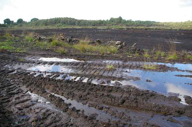 Místo, kde obě mumie vykoukly na svět.